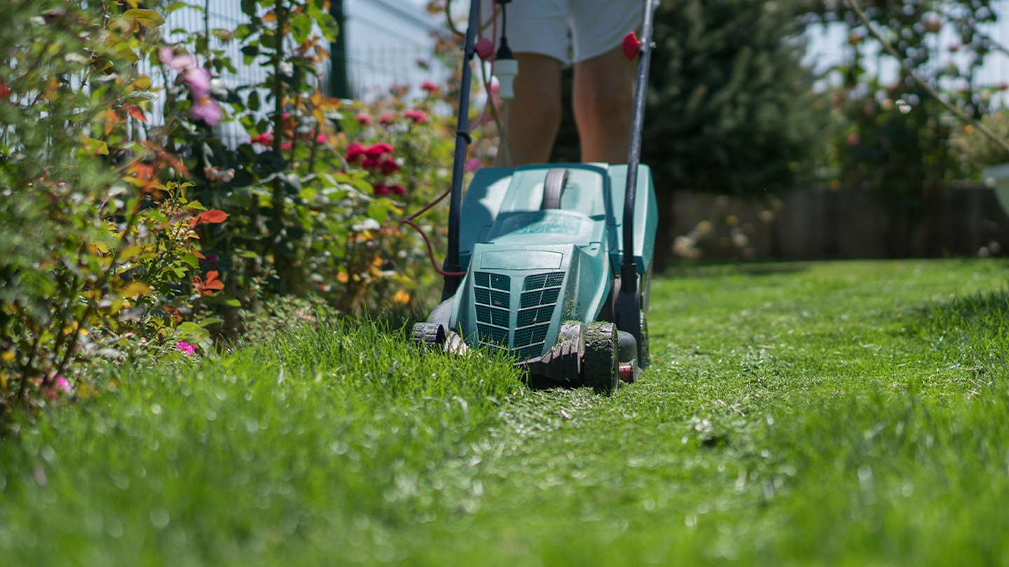 Best electric lawn mower to make cutting grass simple 2024